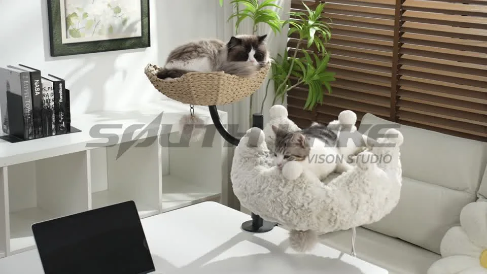 Cat tree & climbing shelves video cover